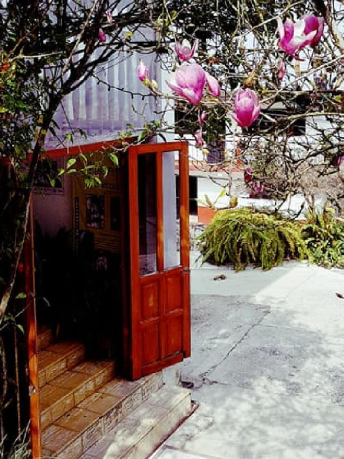 Meson Yohualichan Cuetzalan Luaran gambar