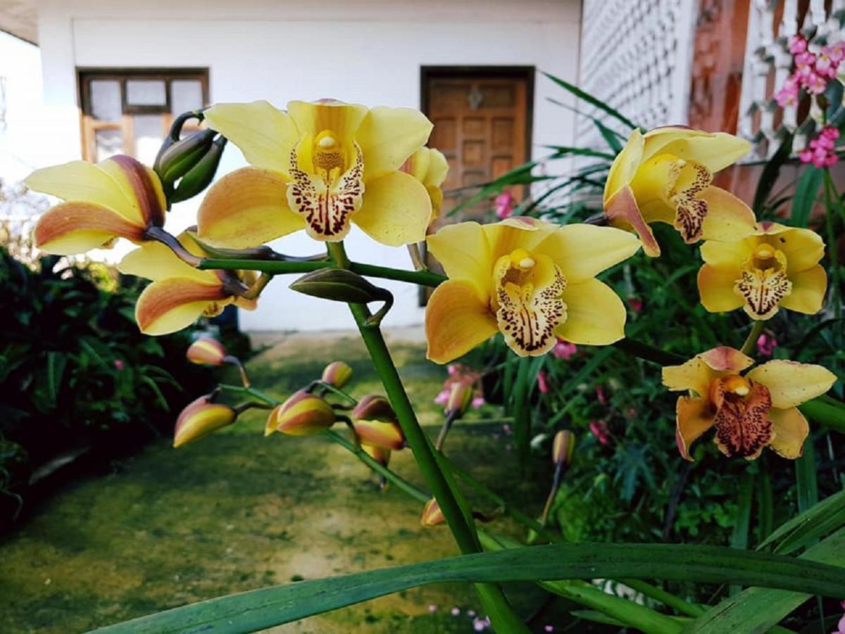 Meson Yohualichan Cuetzalan Luaran gambar
