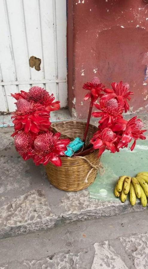 Meson Yohualichan Cuetzalan Luaran gambar