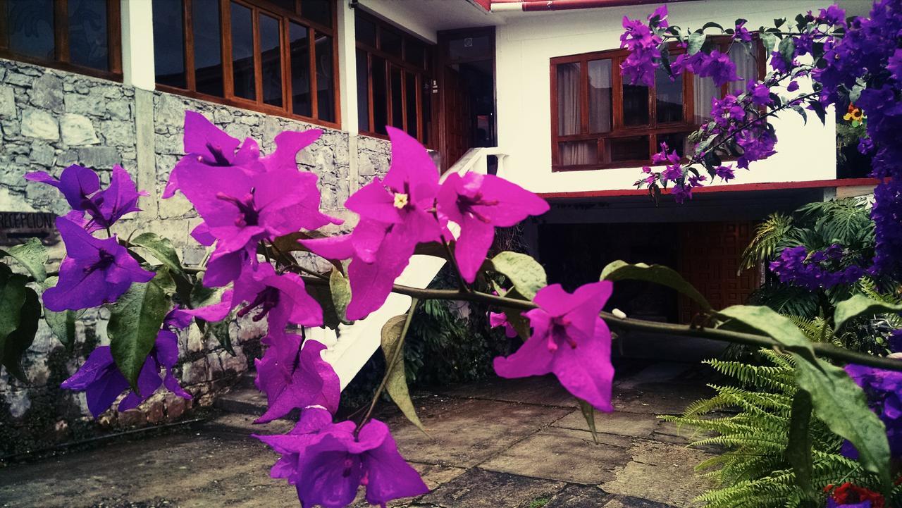 Meson Yohualichan Cuetzalan Luaran gambar