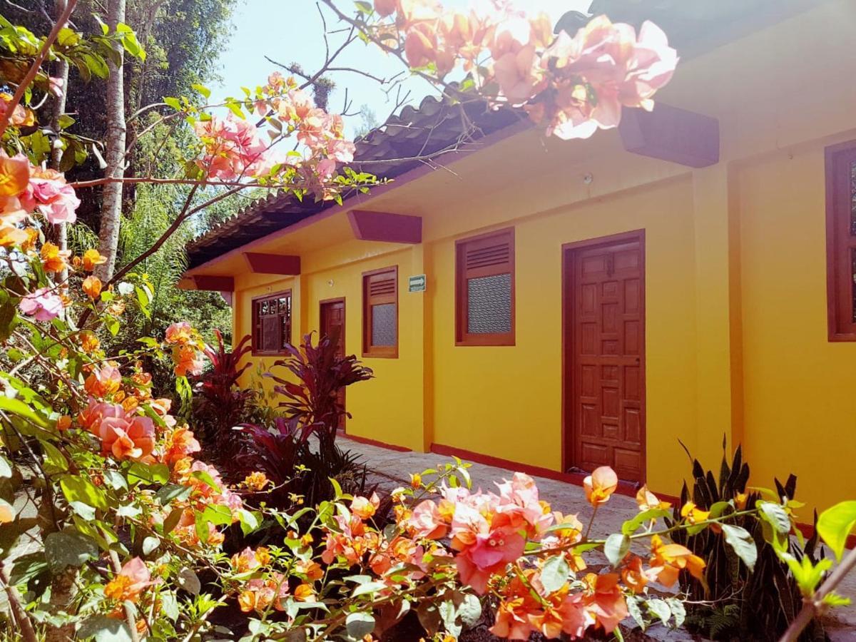 Meson Yohualichan Cuetzalan Luaran gambar